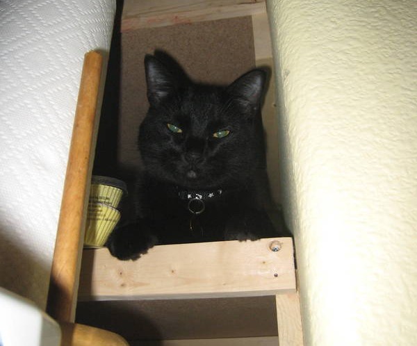 2009 05 31 019